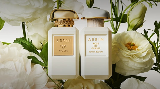 aerin rose fragrances
